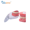 SINO ORTHO Orthodontic Mirrors Occlusal+Buccal DM01-03